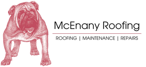 McEnany Color Logo