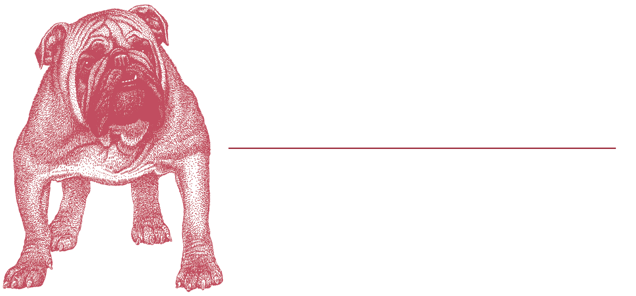 McEnany_Roofing_Logo_White.png